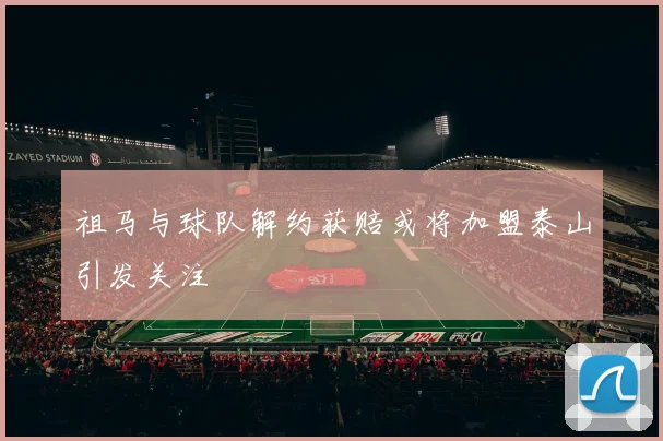 祖马与球队解约获赔或将加盟泰山引发关注