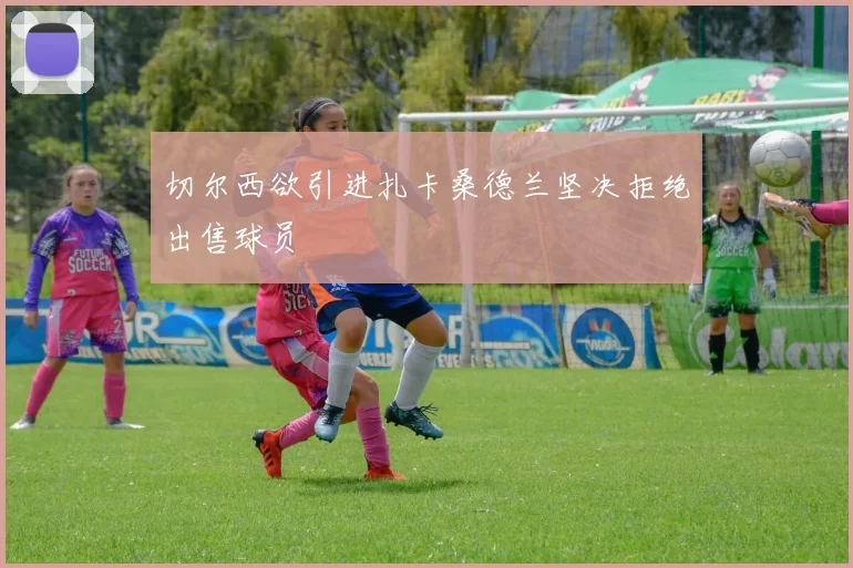 切尔西欲引进扎卡桑德兰坚决拒绝出售球员